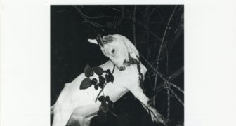 日本カメラ博物館 JCII Camera Museum：須田一政作品展「風姿花伝」