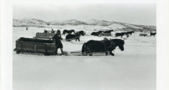 L0167-336x180.jpg