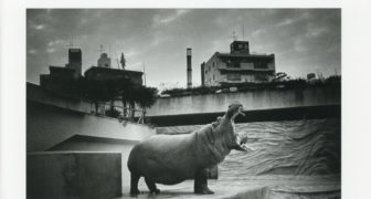 日本カメラ博物館 JCII Camera Museum：藤居正明作品展「昭和から平成